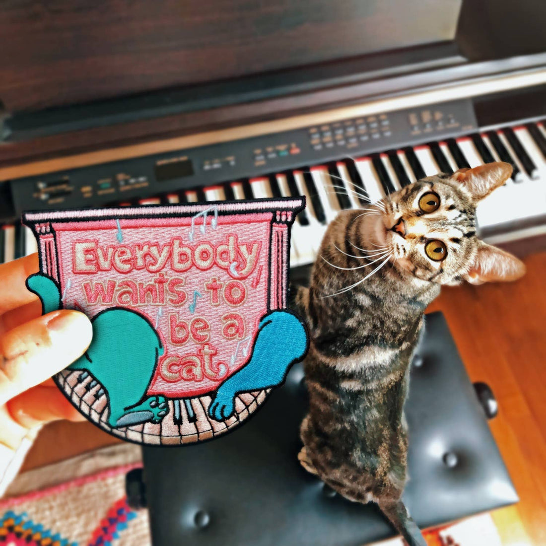 EVERYBODY WANTS TO BE A CAT Strygemærke, farverige katte og teksten EVERYBODY WANTS TO BE A CAT