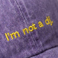 I'M NOT A DJ Lilla Broderet Kasket øko