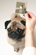 MOPS Pin Hund pug