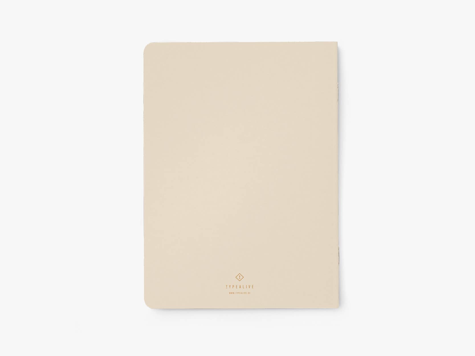 MY FEMINIST AGENDA Notesbog med blanke sider