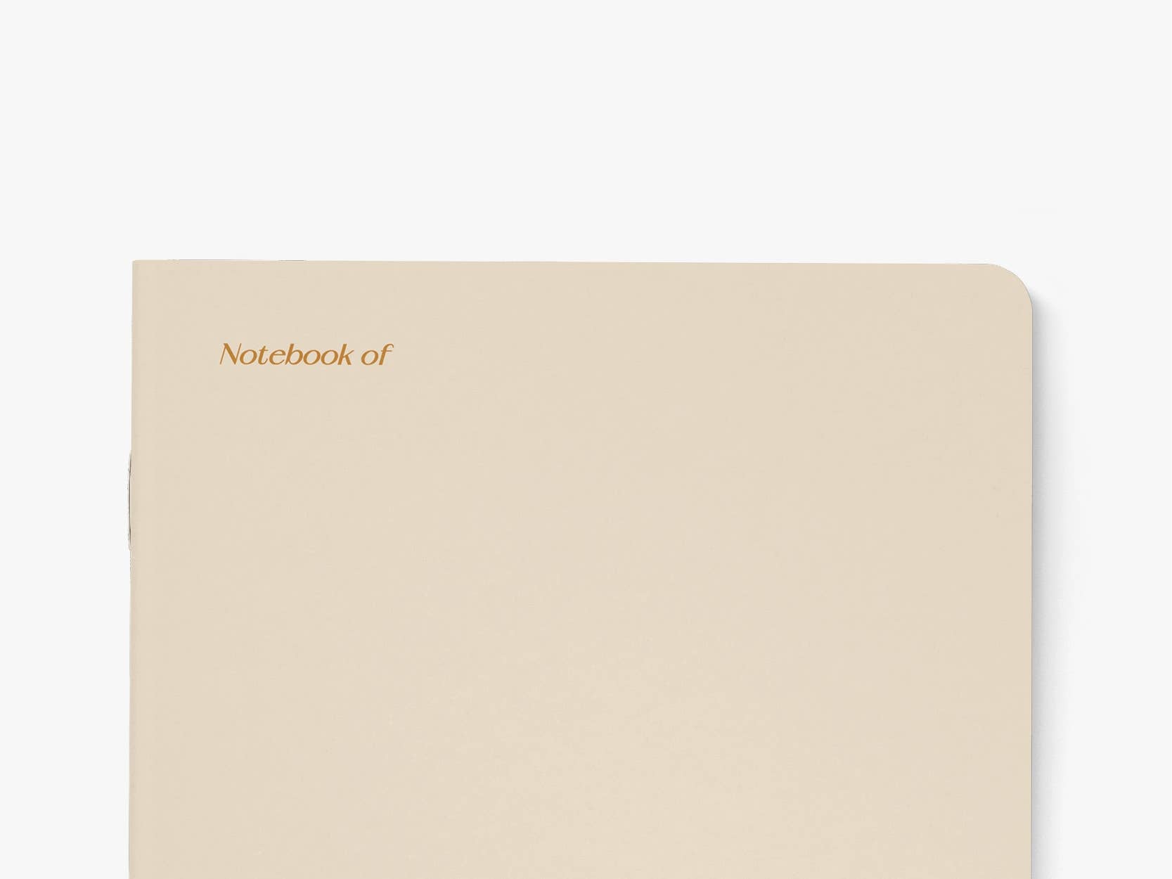 MY FEMINIST AGENDA Sjov Notesbog med blanke sider