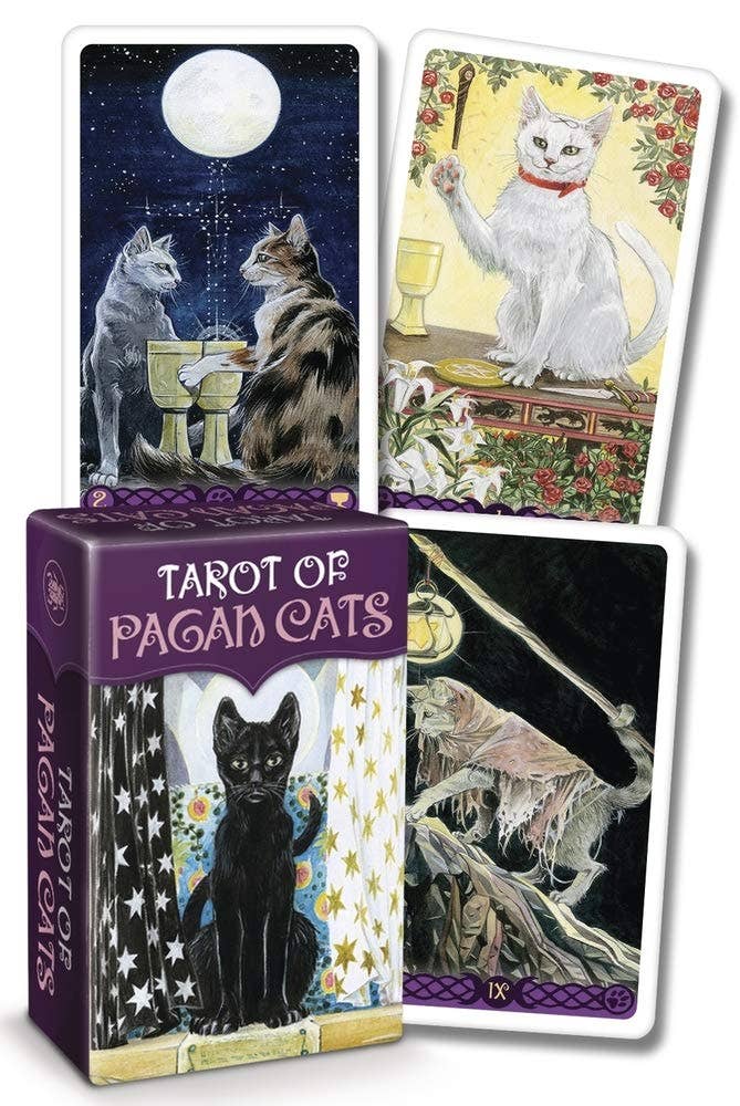 katte tarotkort