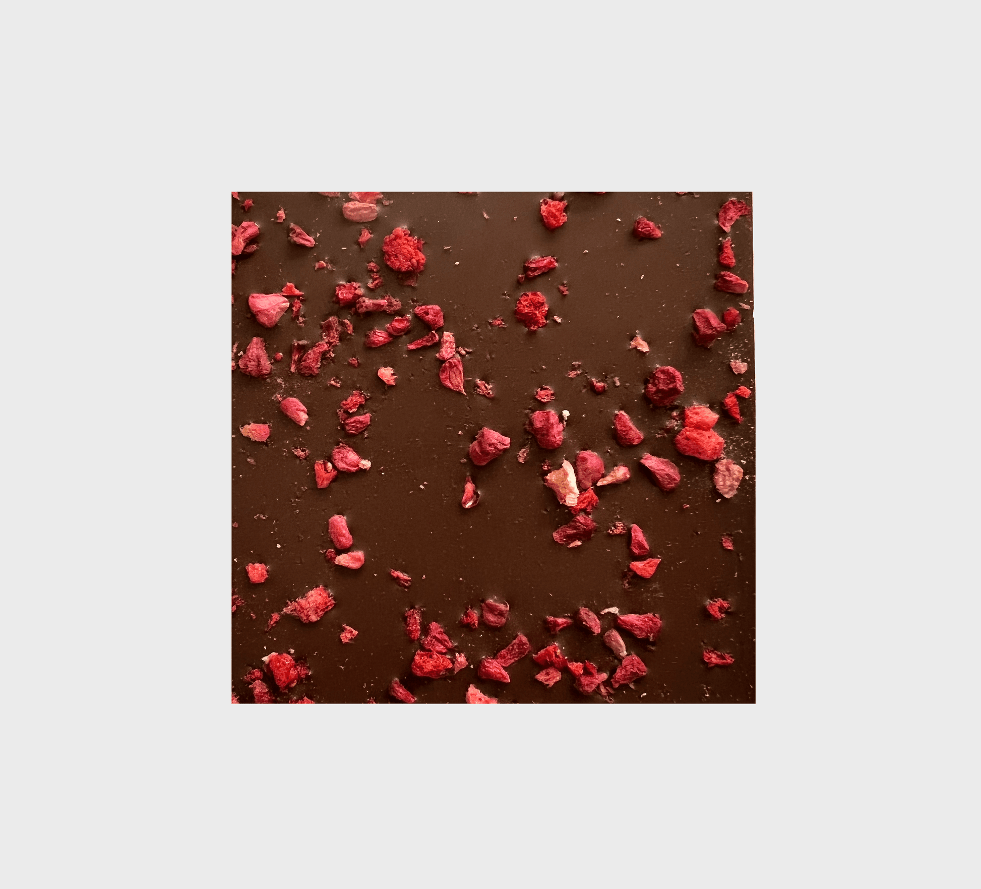 Økologisk Red Berries Chokolade 49%