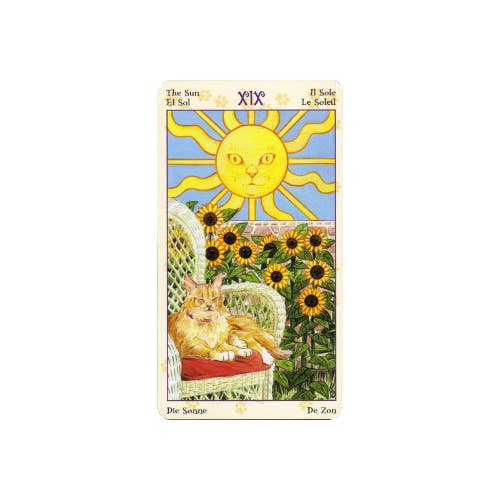 mini katte tarotkort