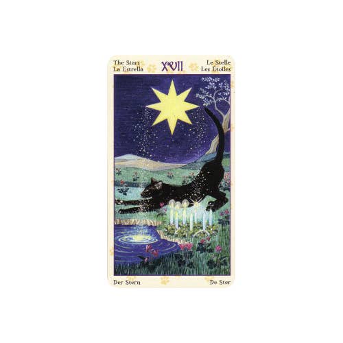 mini tarotkort med katte