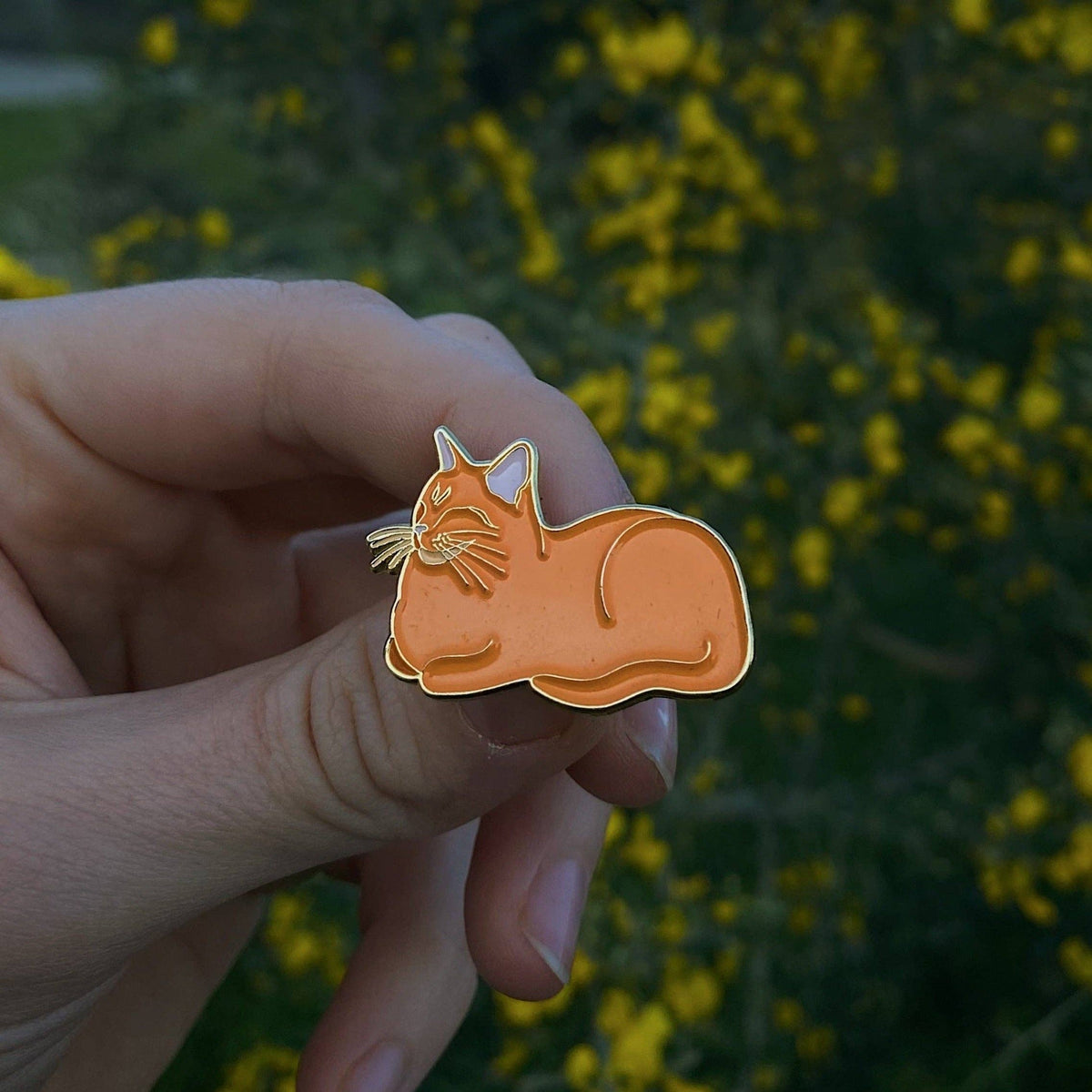 orange kat Pin til jakke