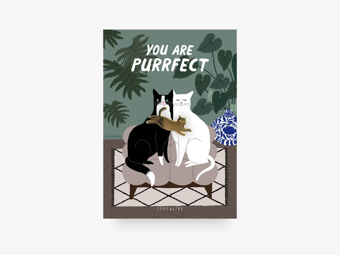 purrfect pin gave