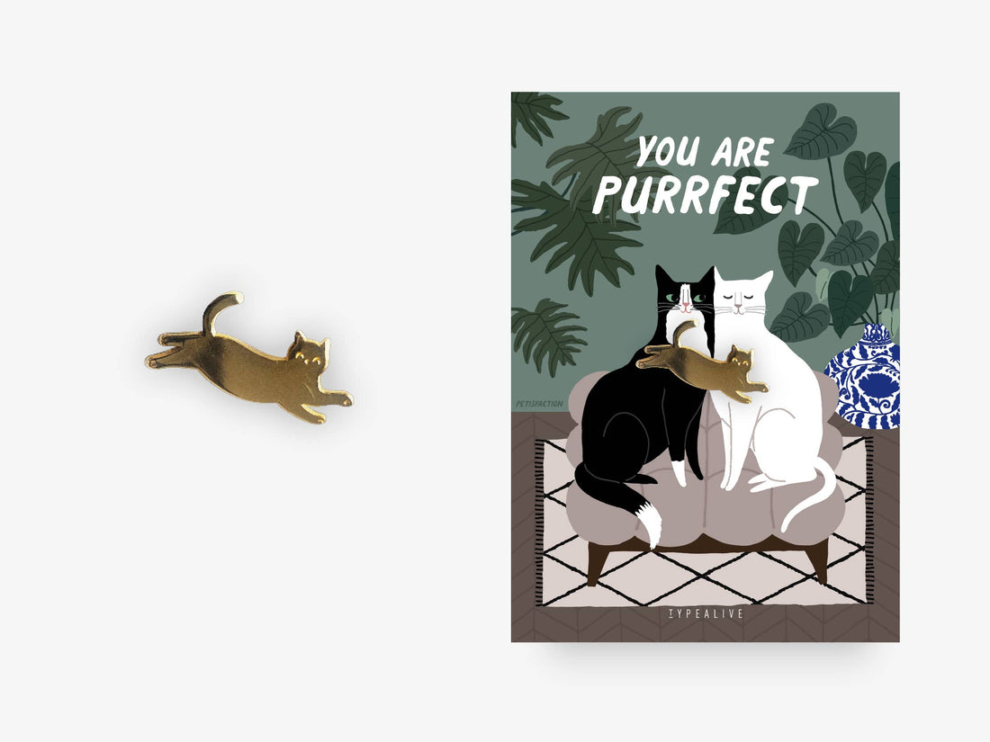 purrfect pin gave