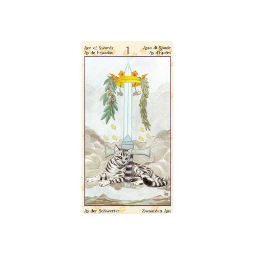 sjove tarotkort med katte
